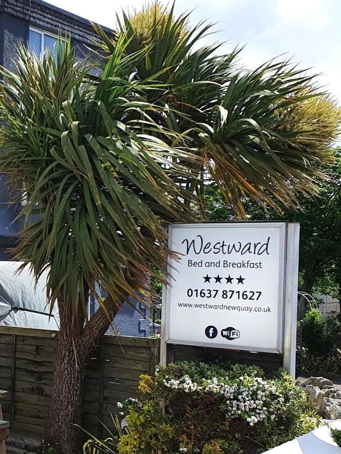 Westward B&B New Quay Dış mekan fotoğraf