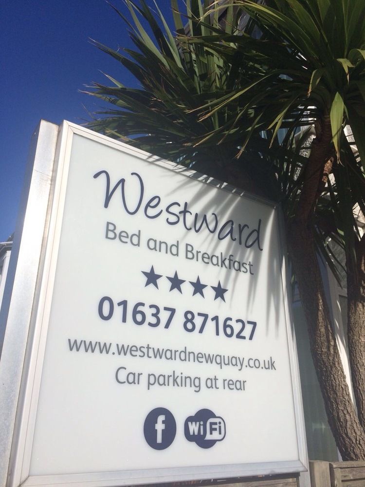 Westward B&B New Quay Dış mekan fotoğraf